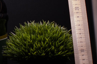 Fujifilm X-S20 Sharpness Scene Crop