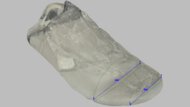 Nike Winflo 12 Forefoot Width Photo