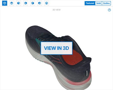 Mizuno Wave Rider 29 3D Model Full Shoe