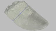Salomon Aero Glide 4 Arch Fit Photo