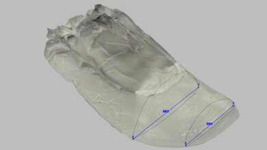 Brooks Trace 4 Forefoot Width Photo