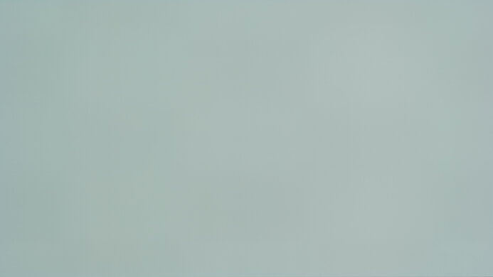 LG C5 42 OLED 50% Uniformity Picture