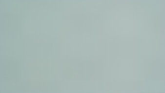 LG C5 42 OLED 50% Uniformity Picture