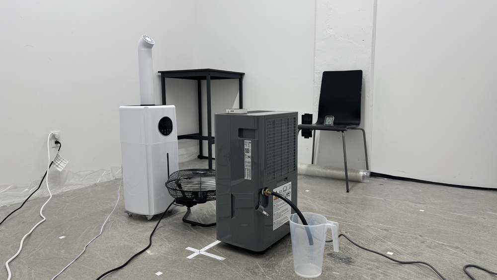 perceptual testing image