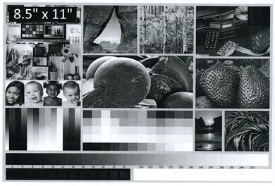 HP LaserJet M209dwe Side By Side Print/Photo Large