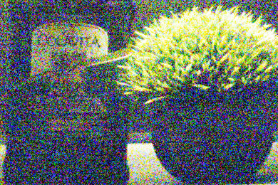 Canon PowerShot SX70 HS Noise Scene Crop