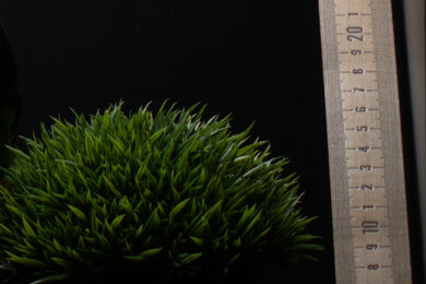 Canon EOS Rebel T100/4000D Sharpness Scene Crop