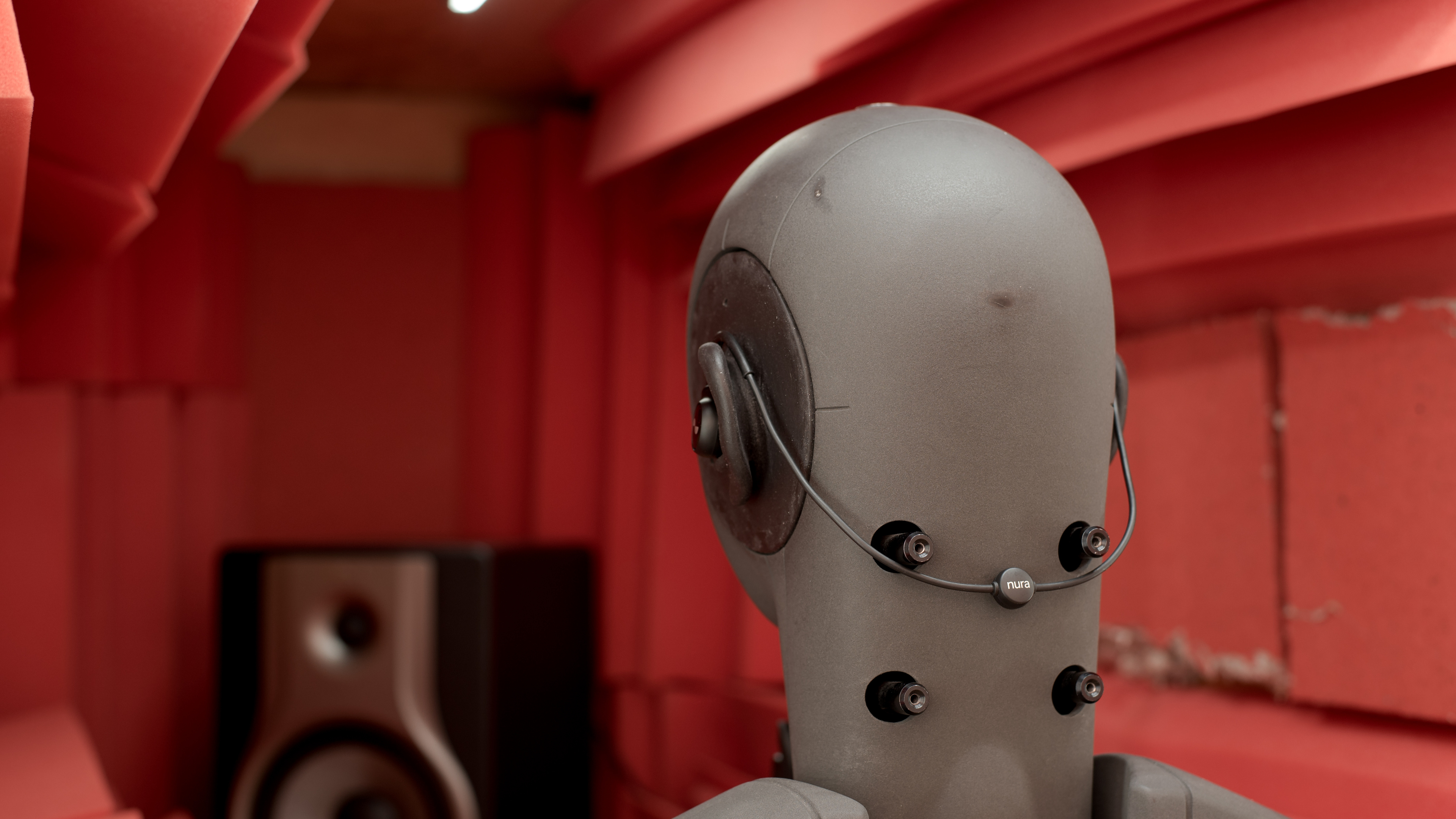 perceptual testing image