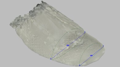 Mizuno Neo Vista 3 Forefoot Width Photo