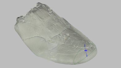 PUMA MagMax NITRO 2 Forefoot Height Photo