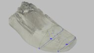 Nike Run Defy Forefoot Width Photo