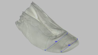 Saucony Endorphin Pro 5 Forefoot Width Photo