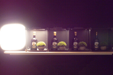 Olympus OM-D E-M1 Mark III Dynamic Range Scene