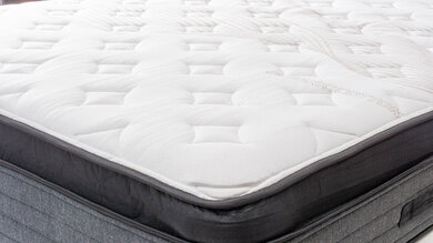 Nolah Evolution Cover Picture