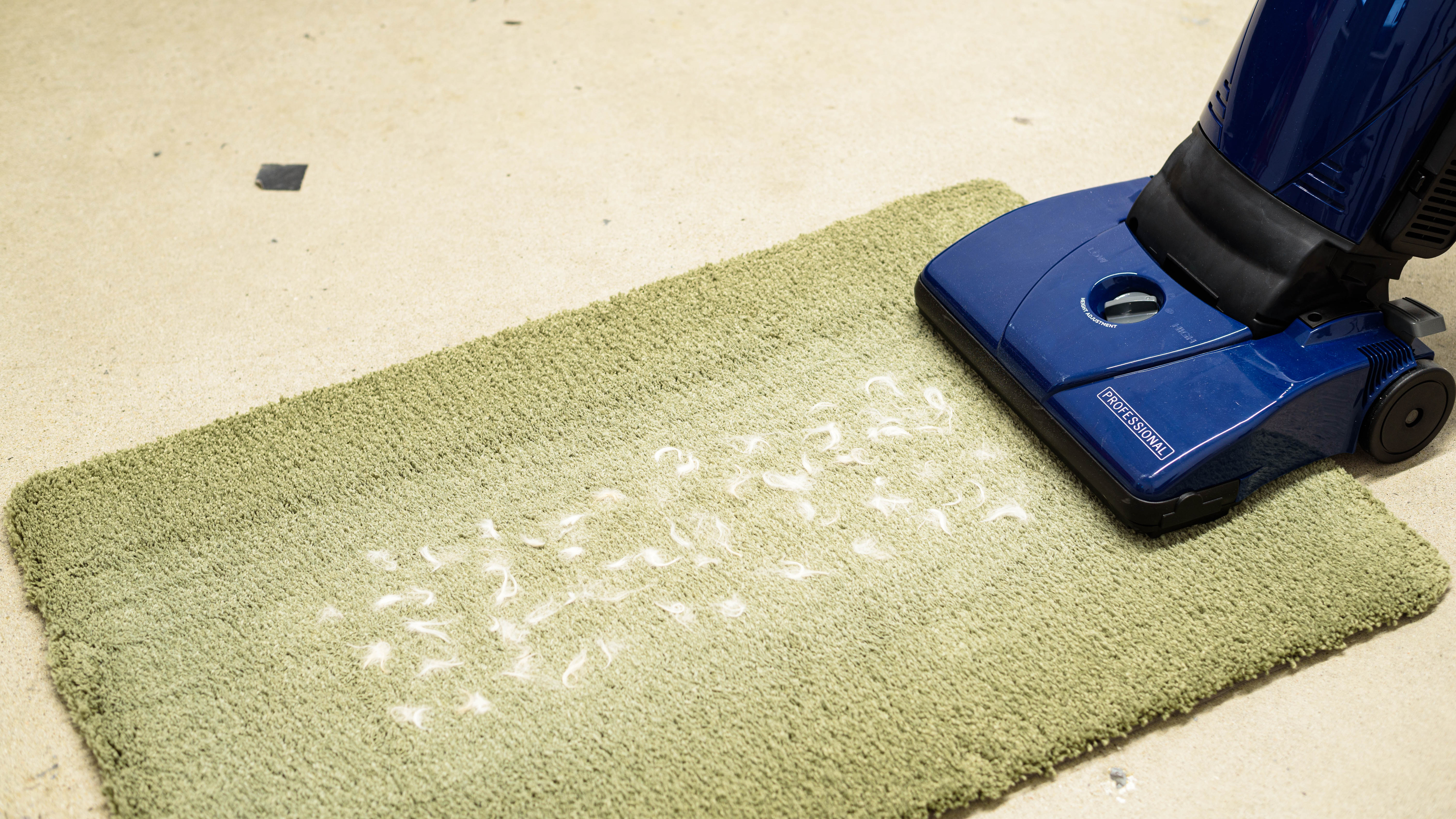 perceptual testing image