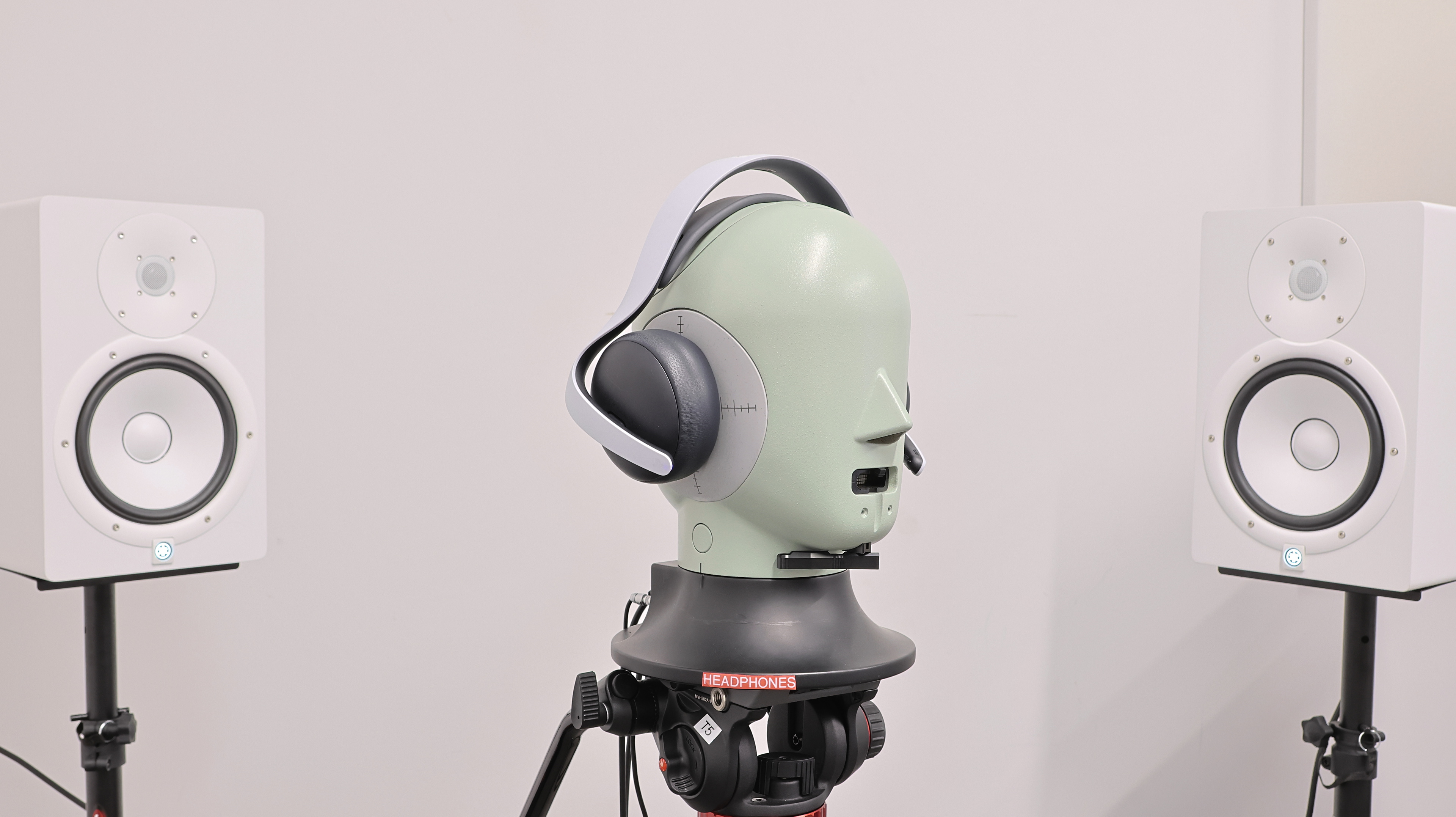 perceptual testing image