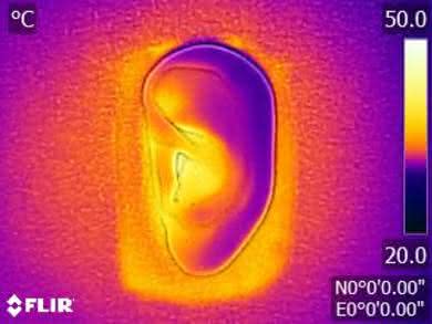 JBL E25BT Wireless Breathability After Picture