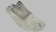 PUMA ForeverRun NITRO 3 Forefoot Height Photo