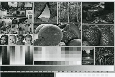 HP LaserJet Enterprise M507dn Side By Side Print/Photo