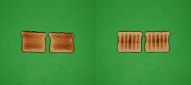 BALMUDA The Toaster Unprocessed Toast Picture