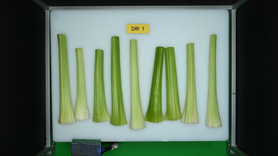 LG LF25Z6211S Produce Picture (Before)