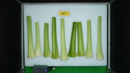 LG LF25Z6211S Produce Picture (Before)