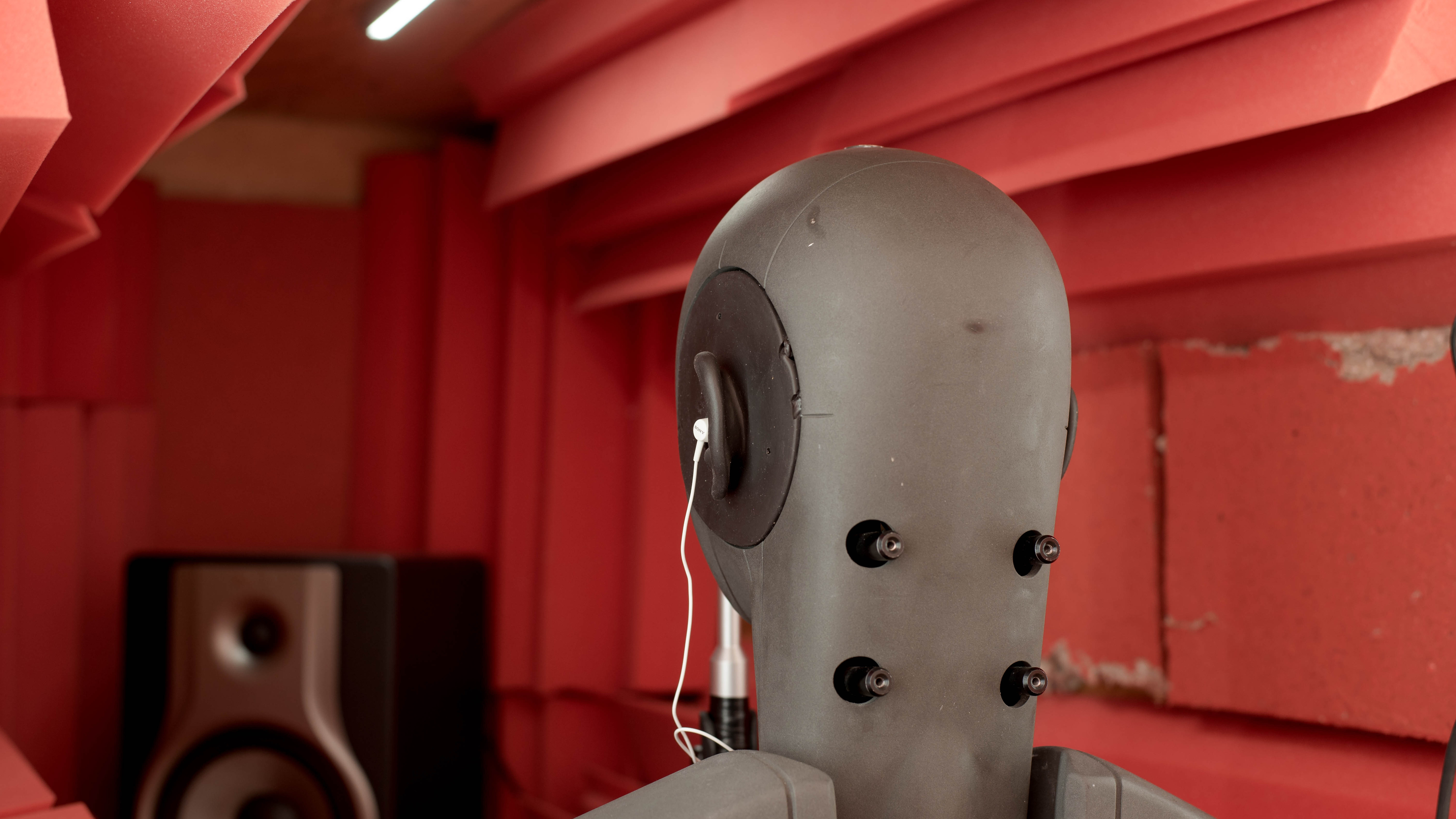 perceptual testing image