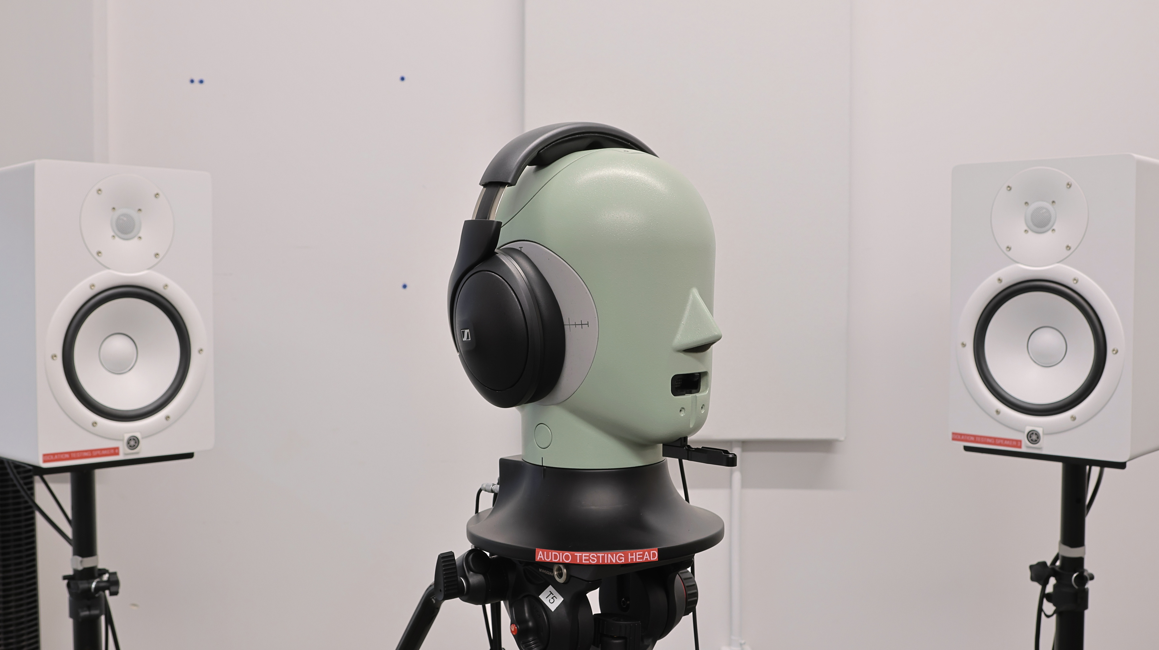 perceptual testing image