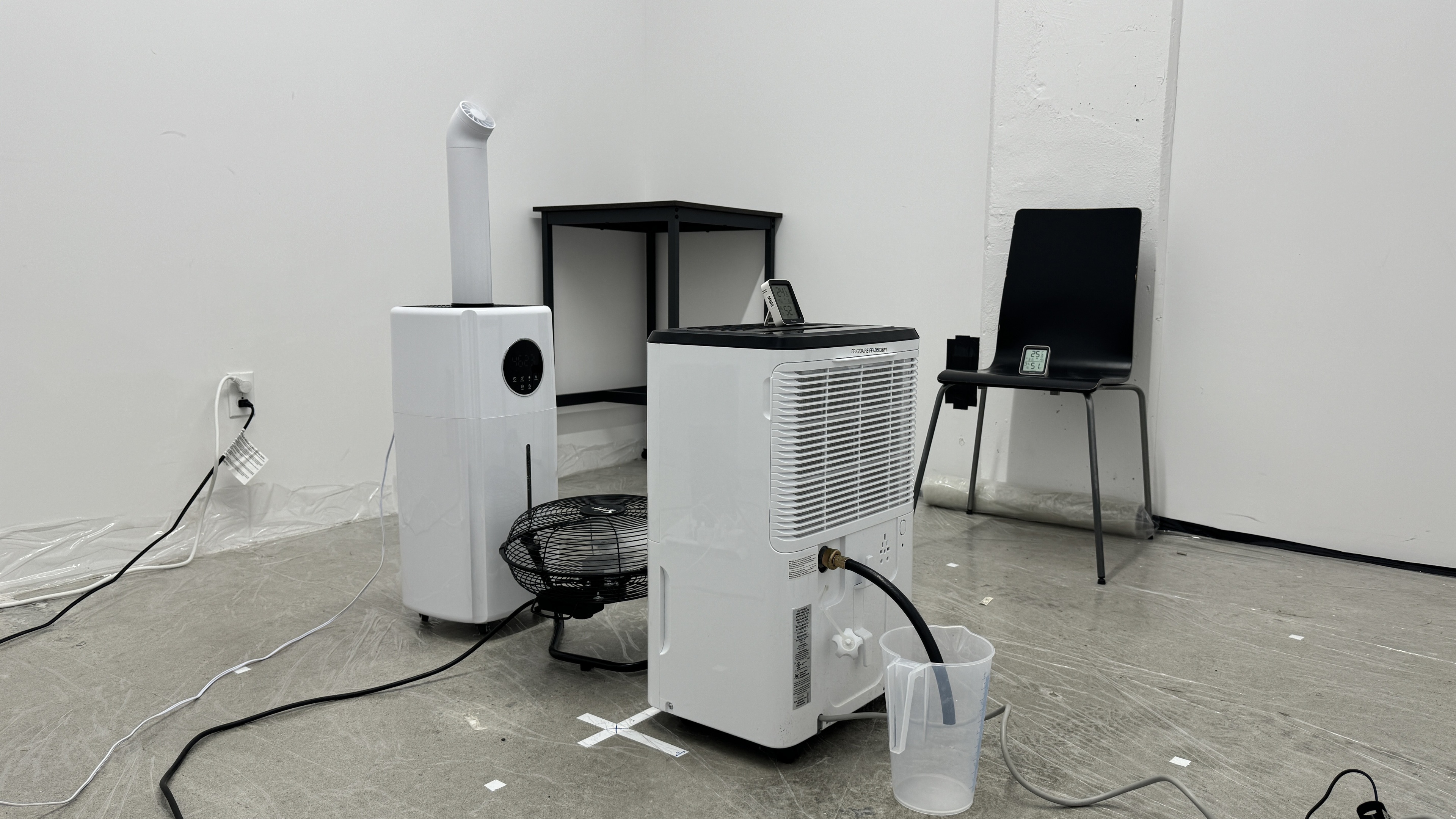 perceptual testing image