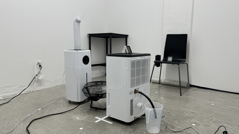 perceptual testing image