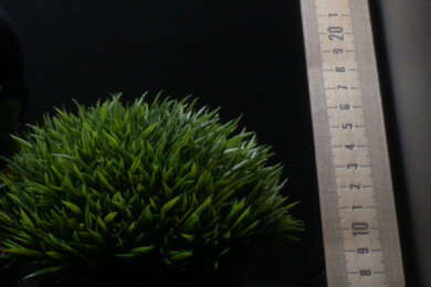 Panasonic LUMIX ZS80 Sharpness Scene Crop