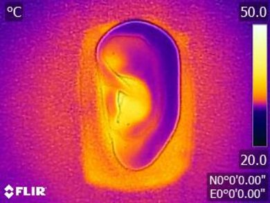 Bose SoundSport In-Ear Breathability After Picture