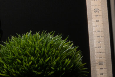 Sony RX10 IV Sharpness Scene Crop