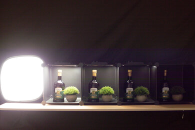 Canon EOS 5D Mark IV Dynamic Range Scene