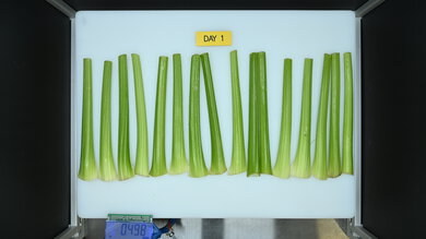 GE Profile PGE29BYTFS Produce Picture (Before)
