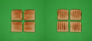 Breville the Mini Smart Oven BOV450XL Unprocessed Toast Picture