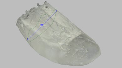 Nike Winflo 11 Arch Fit Photo
