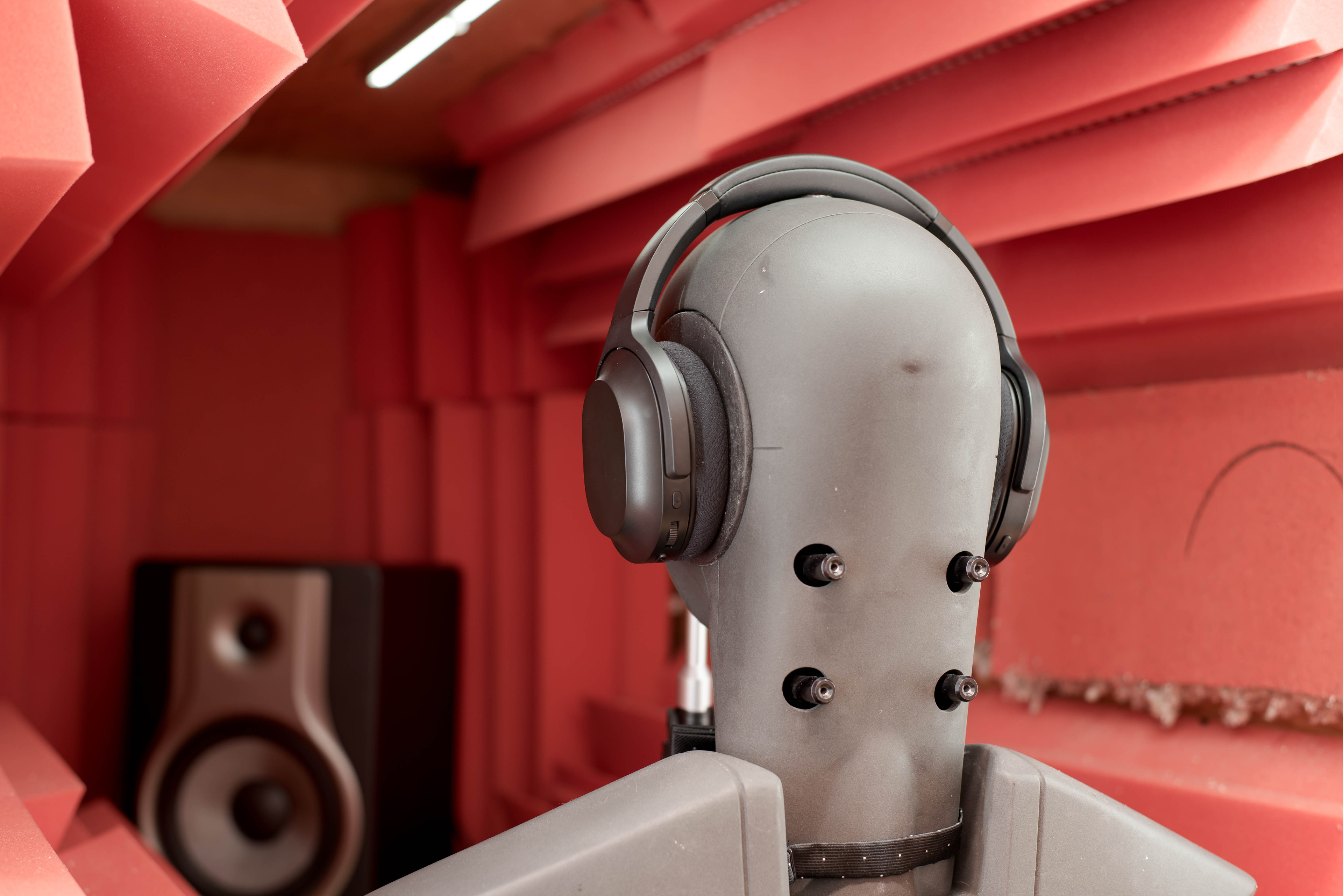 perceptual testing image