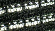 adidas Adizero Evo SL Upper Microscope Photo