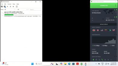 Private Internet Access Torrent Test Picture