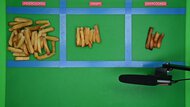 BALMUDA The Toaster Pro Sorted Fries