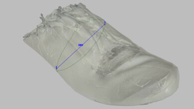Salomon S/LAB Phantasm 3 Arch Fit Photo