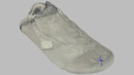 Nike Winflo 12 Forefoot Height Photo
