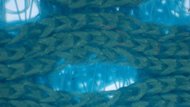 ASICS YOGIRI SPEED Upper Microscope Photo