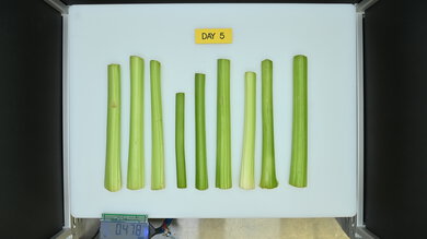 Maytag MRFF4236RZ Produce Picture (After)