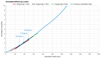 Plank Firm Luxe Lumbar Firmness