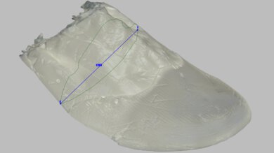 ASICS NOVABLAST 6 Arch Fit Photo