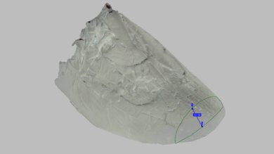 New Balance FuelCell Rebel v5 Forefoot Height Photo