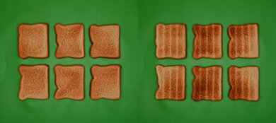 Our Place Wonder Oven (Toaster Oven) Unprocessed Toast Picture