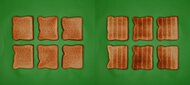 Our Place Wonder Oven (Toaster Oven) Unprocessed Toast Picture
